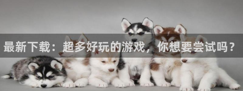 杏悦2测速登录官网