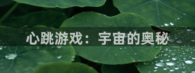 杏悦2老版本更新内容：心跳游戏：宇宙的奥秘
