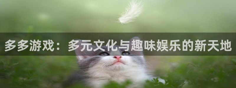 杏悦2推荐通道：多多游戏：多元文化与趣味娱乐的新天地