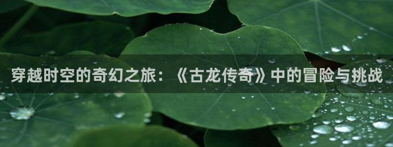 杏悦2平台登录方式：穿越时空的奇幻之旅：《古龙传奇》中的冒险