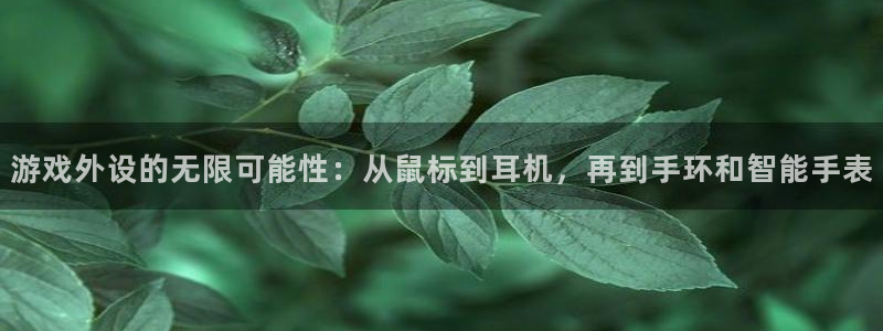 杏悦2平台报名时间：游戏外设的无限可能性：从鼠标到耳机，再到